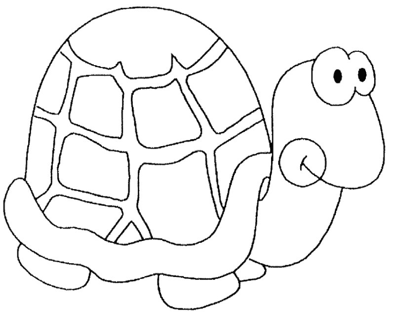 Dessin d'une tortue 