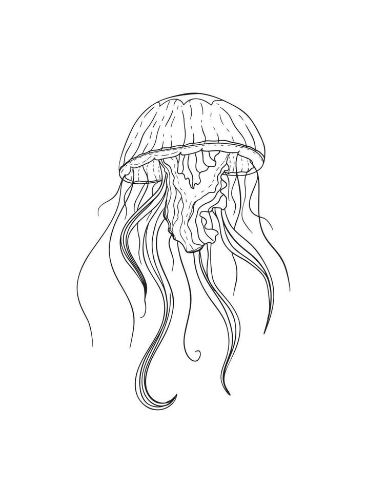 Dessin d'une méduse à télécharger