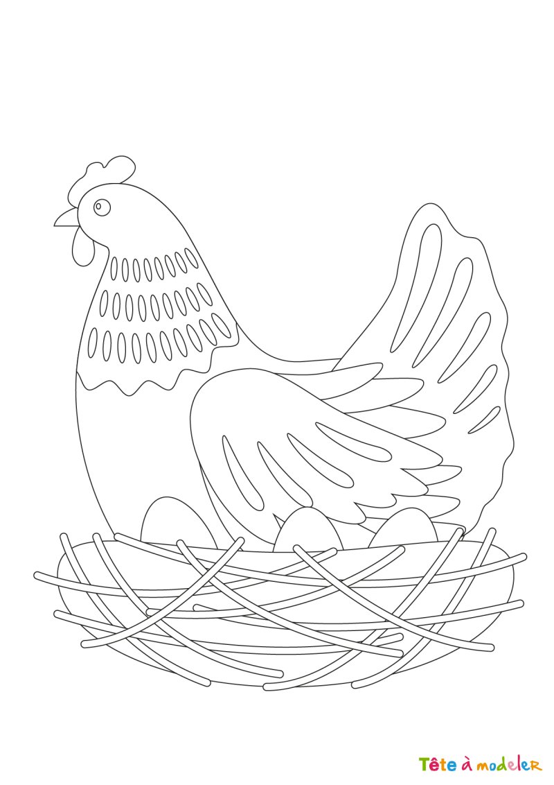 Dessin poule #1