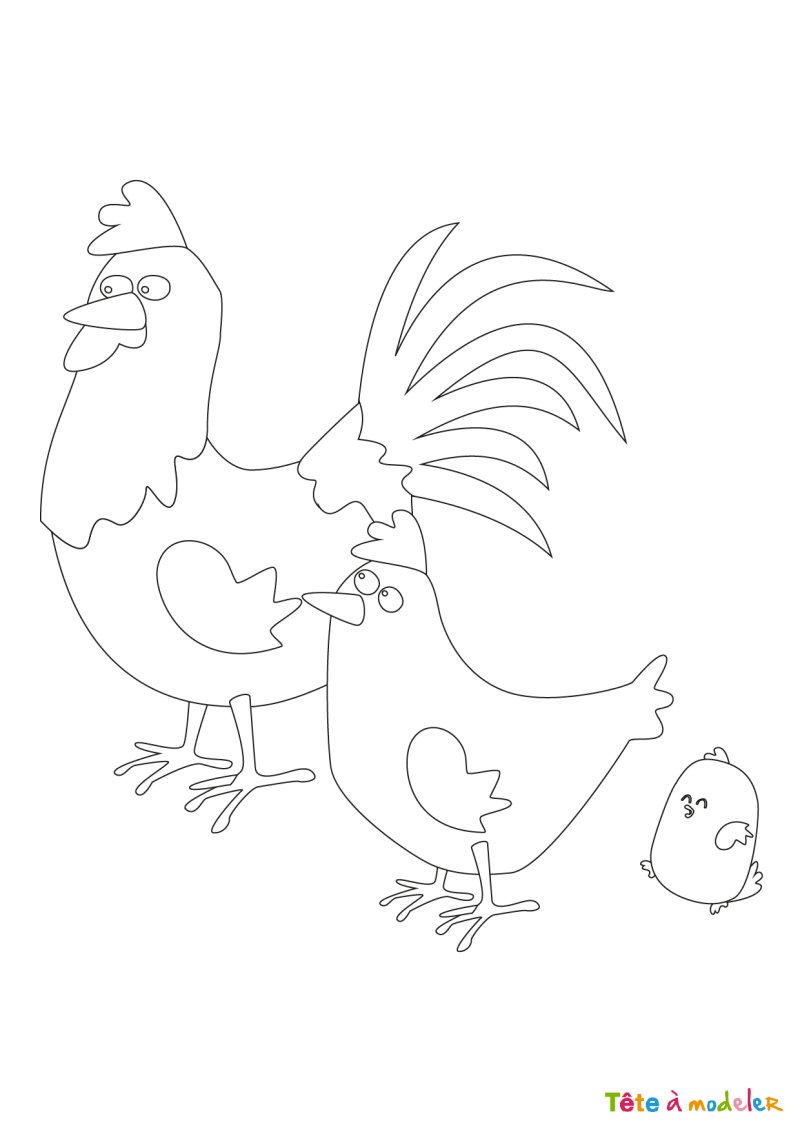Dessin poule #3