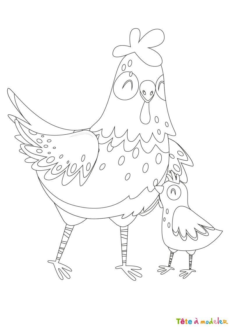 Dessin poule #5
