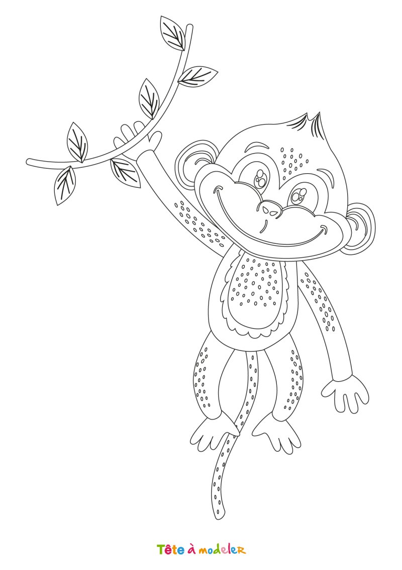 Dessin singe #01