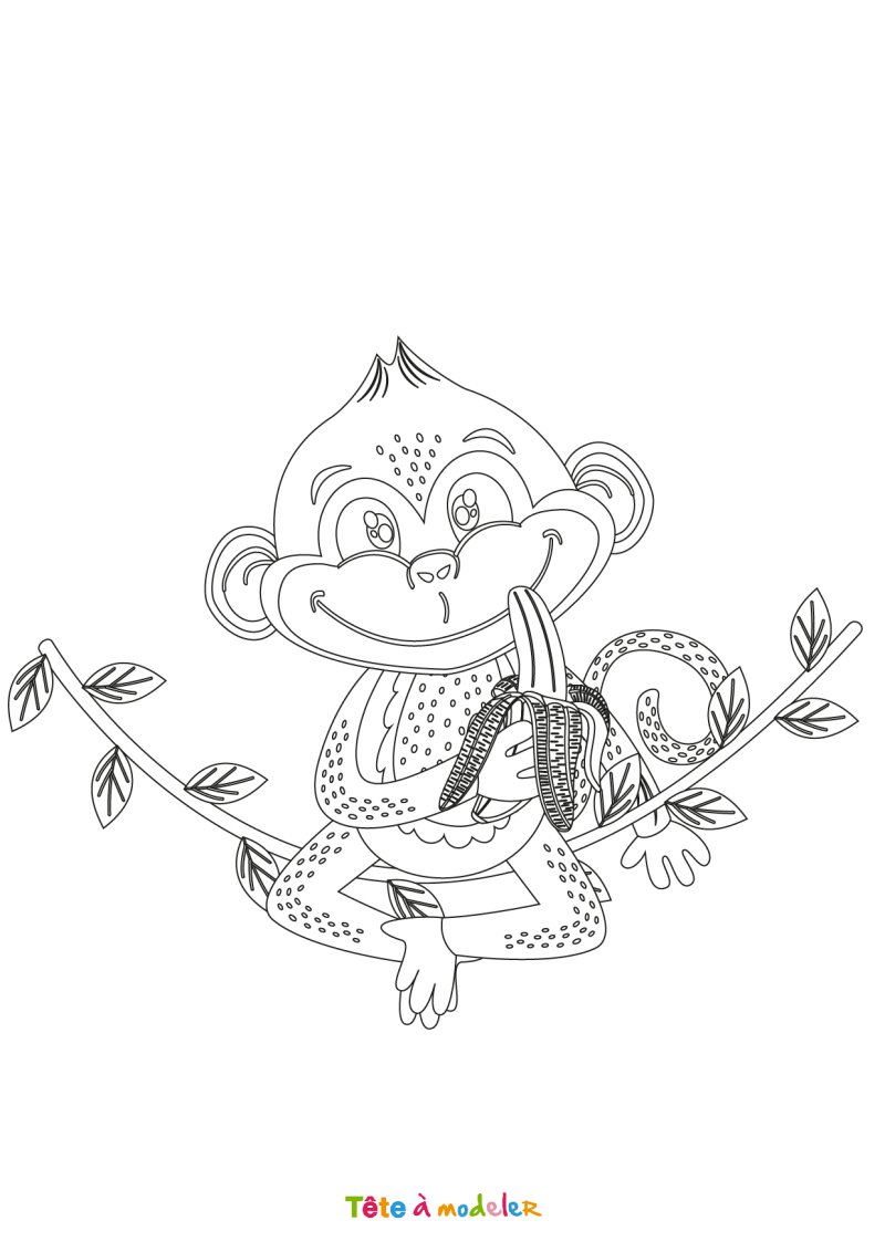 Dessin singe #03