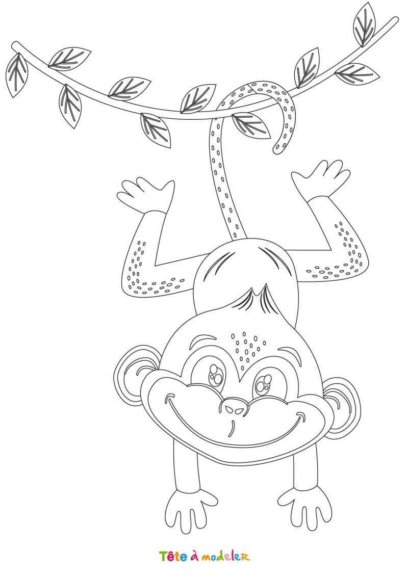 Dessin singe #04