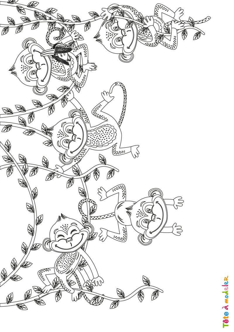 Dessin singe #05
