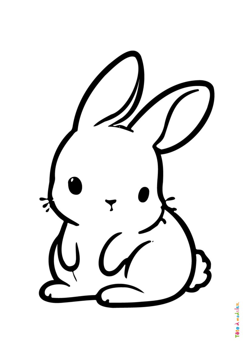 Coloriage d'un petit lapin avec des traits épais