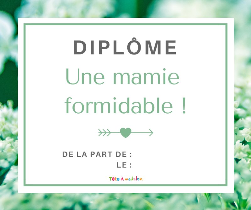 Diplôme de la meilleure mamie de l'universDiplôme d'une mamie formidable !