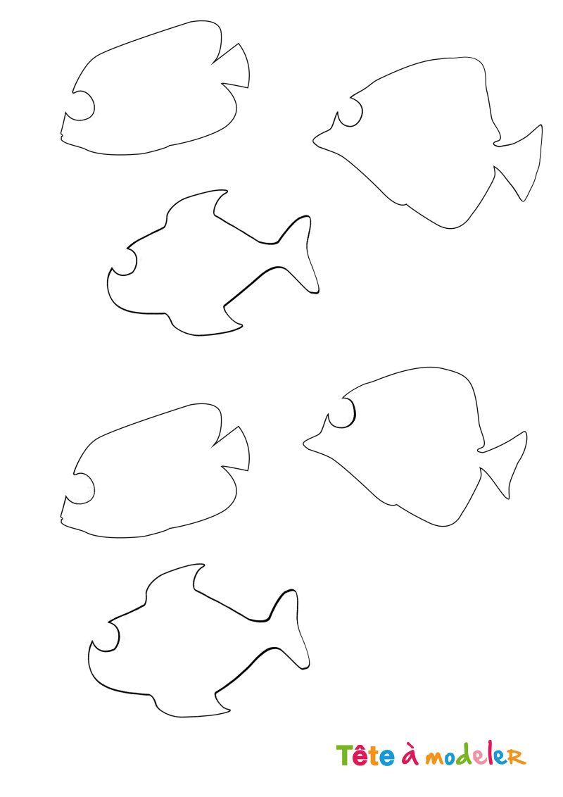 Gabarit des poissons multicolores