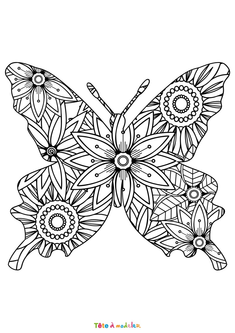 Grand coloriage d'un petit papillon