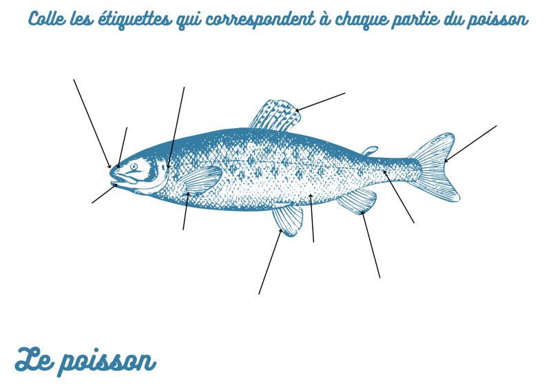 Imprimer la planche à remplir sur le poisson