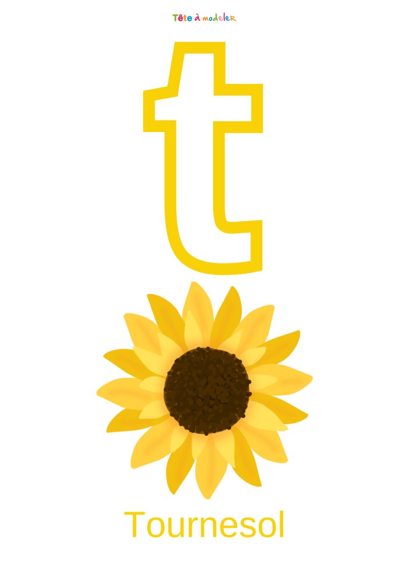 Imprimer la planche imagier minuscule "t"