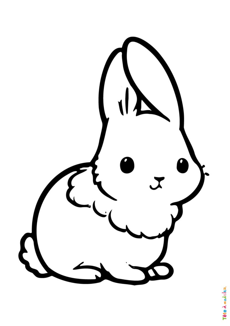 Coloriage d'un petit lapin kawai