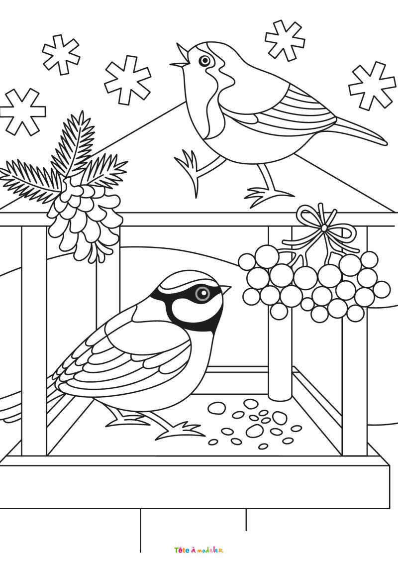 Imprimer le coloriage d'un gros oiseau