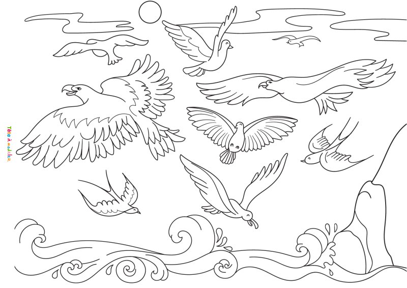 Imprimer le dessin d'un cacatoes