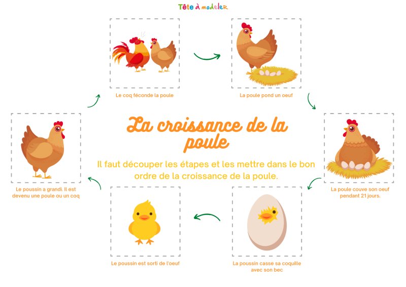 Le jeu du cycle de la poule à l'oeuf