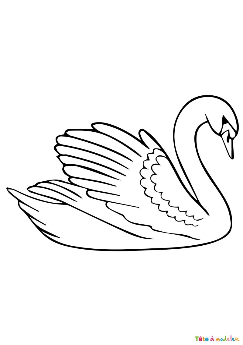 Le vilain petit  est un cygne