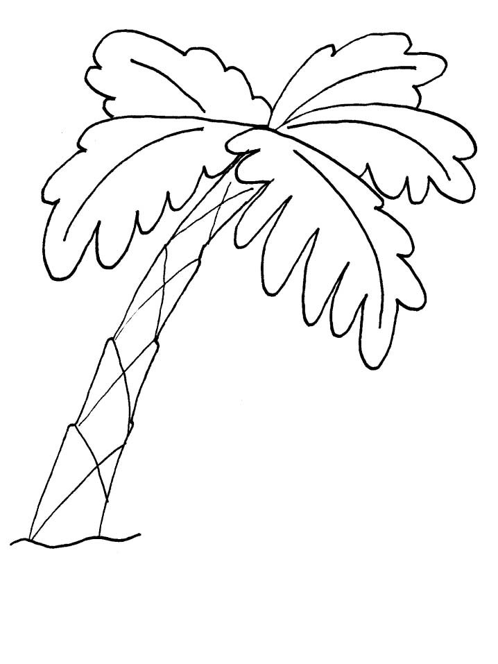 Palmier dessin #03