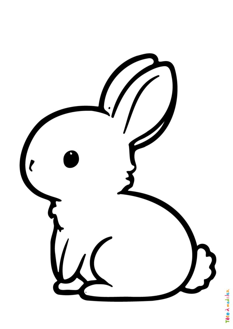 Coloriage d'un lapin de profil