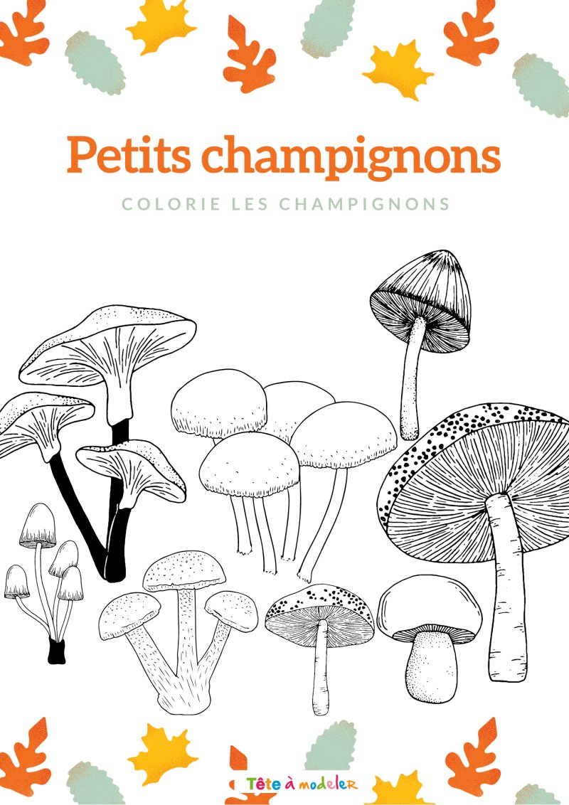 Petits champignons d'automne à colorier