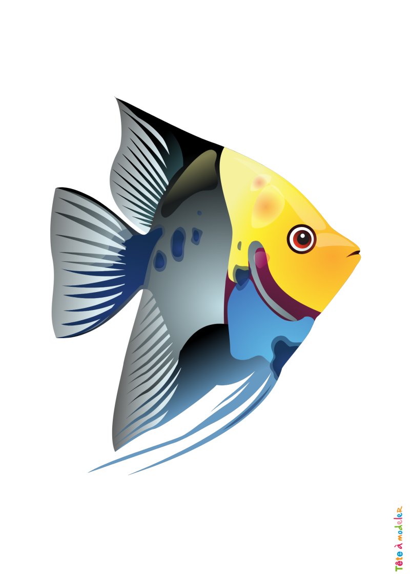 Poisson raye
