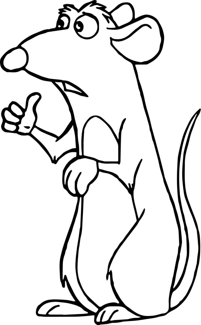 Portrait de Ratatouille