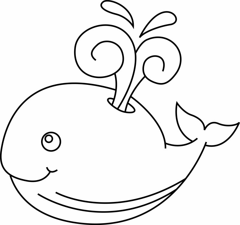 Coloriage baleine à imprimer