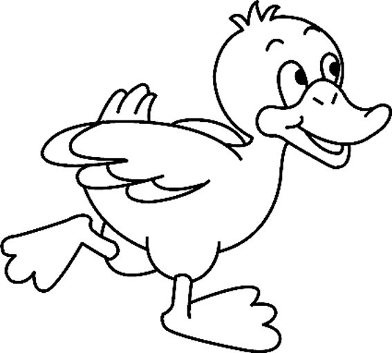 Canard 13 - motif à imprimer