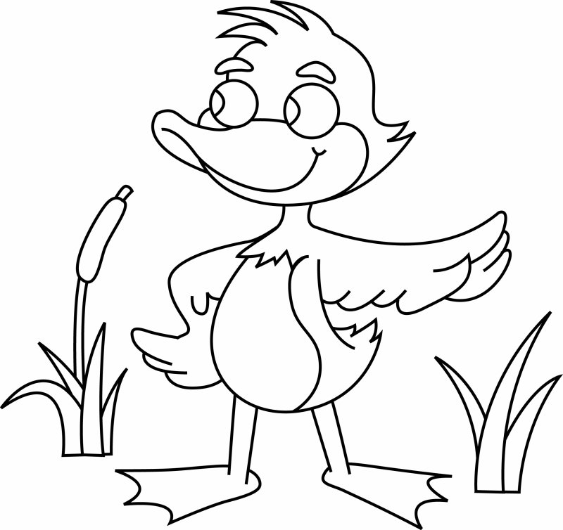 Canard 14 - motif à imprimer
