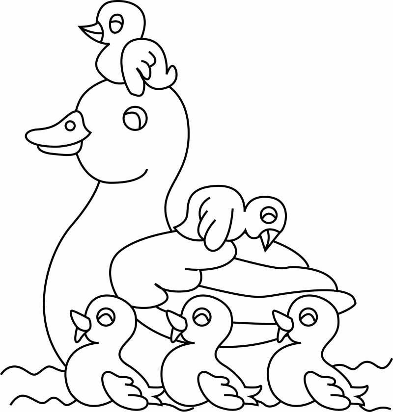 Canard 15 - motif à imprimer