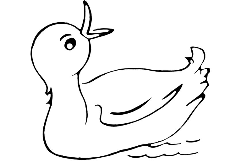Canard 22 - motif à imprimer