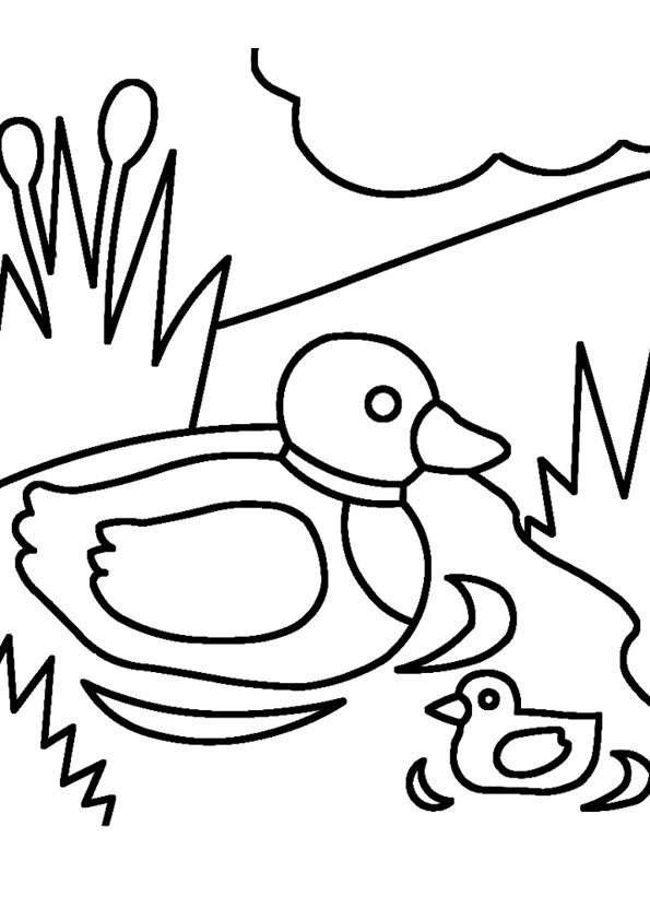 Canard 23 - motif à imprimer