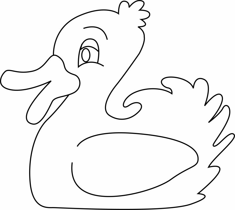 Canard 24 - motif à imprimer