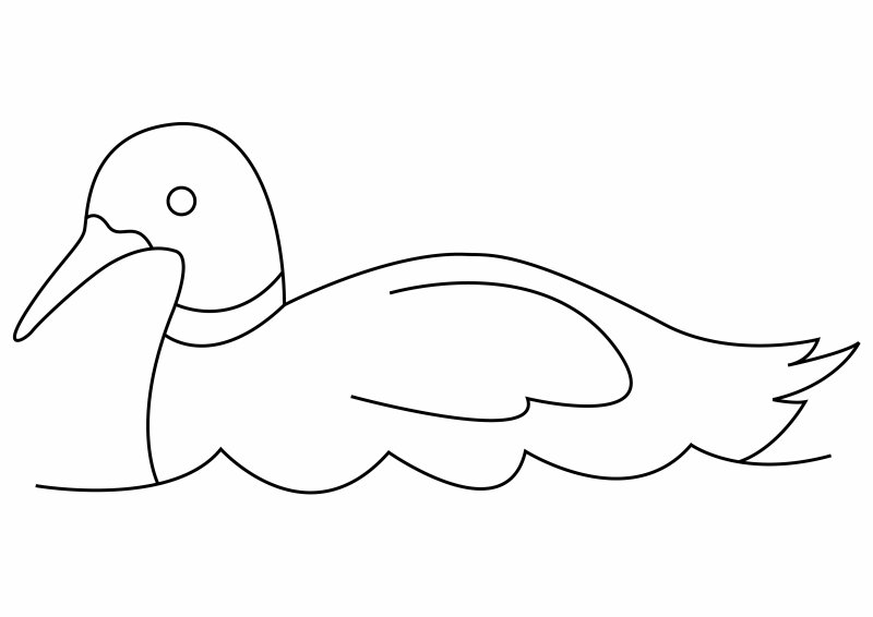 Canard 25 - motif à imprimer
