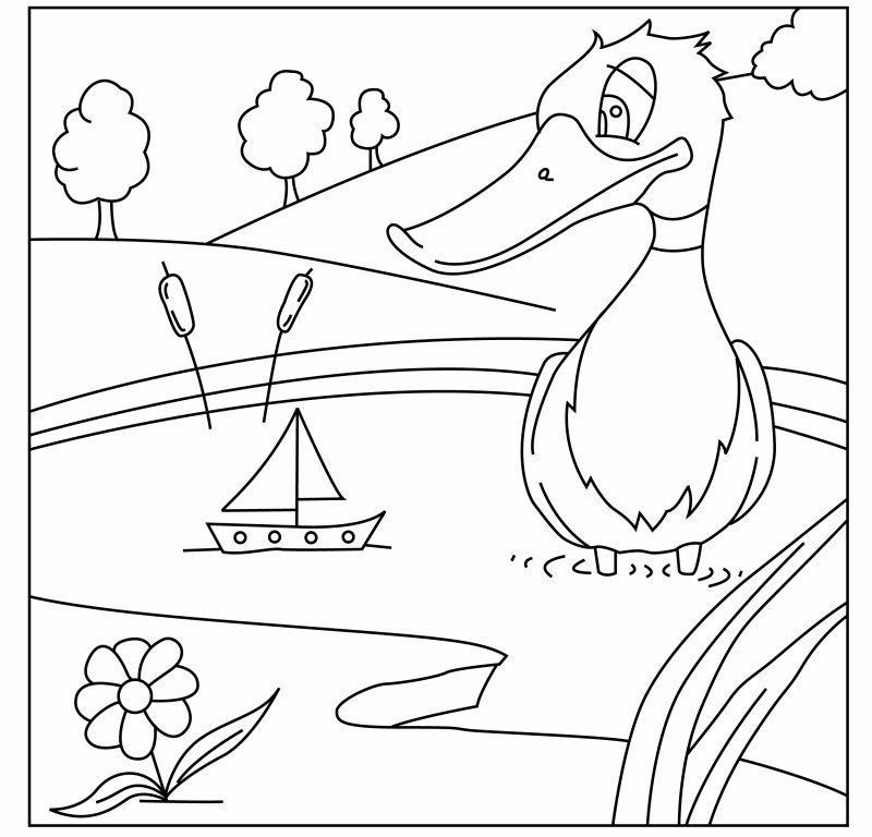 Canard 27 - motif à imprimer