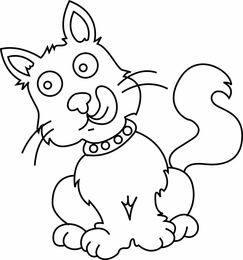 Chat 28 - motif à imprimer