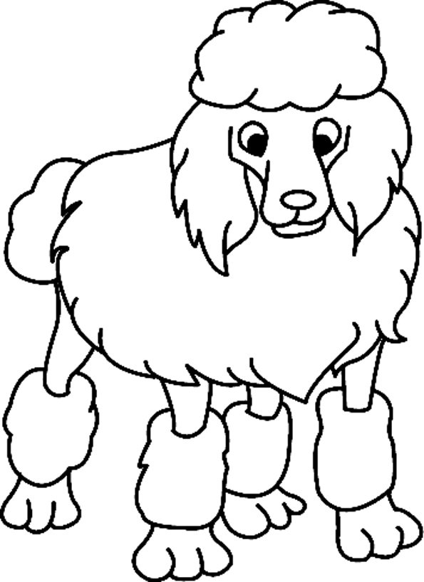 Coloriage caniche à colorier