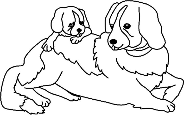 coloriage husky à colorier