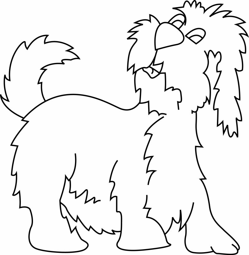 coloriage berger anglais à colorier