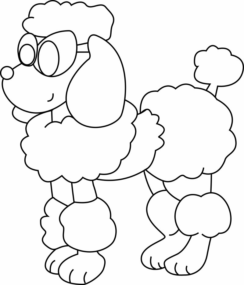 coloriage caniche mignon à colorier
