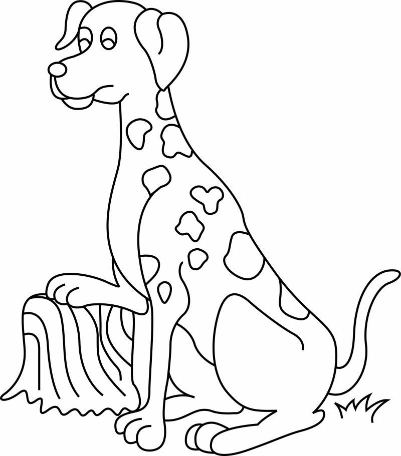 coloriage dalmatien assis à colorier