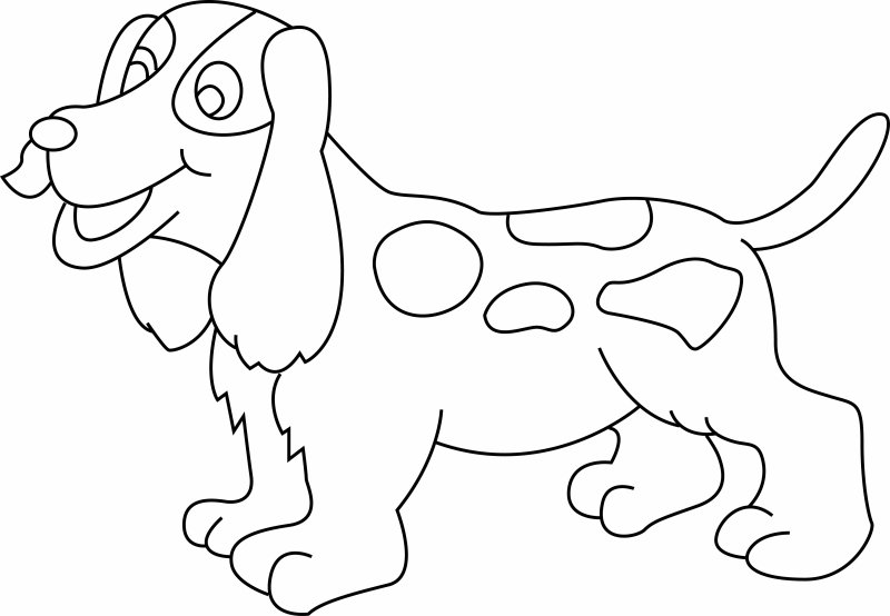 coloriage cocker à colorier