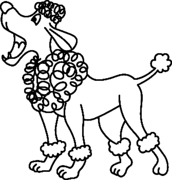 coloriage caniche royal à colorier