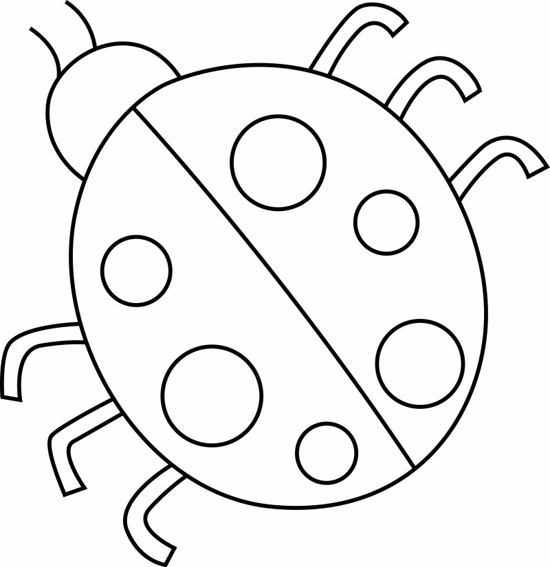 Coccinelle 03 - motif à imprimer