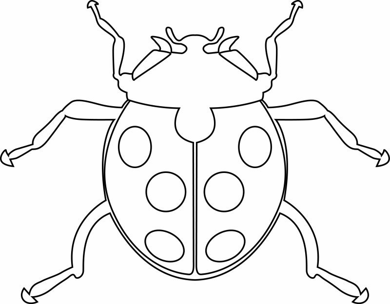 Coccinelle 06 - motif à imprimer