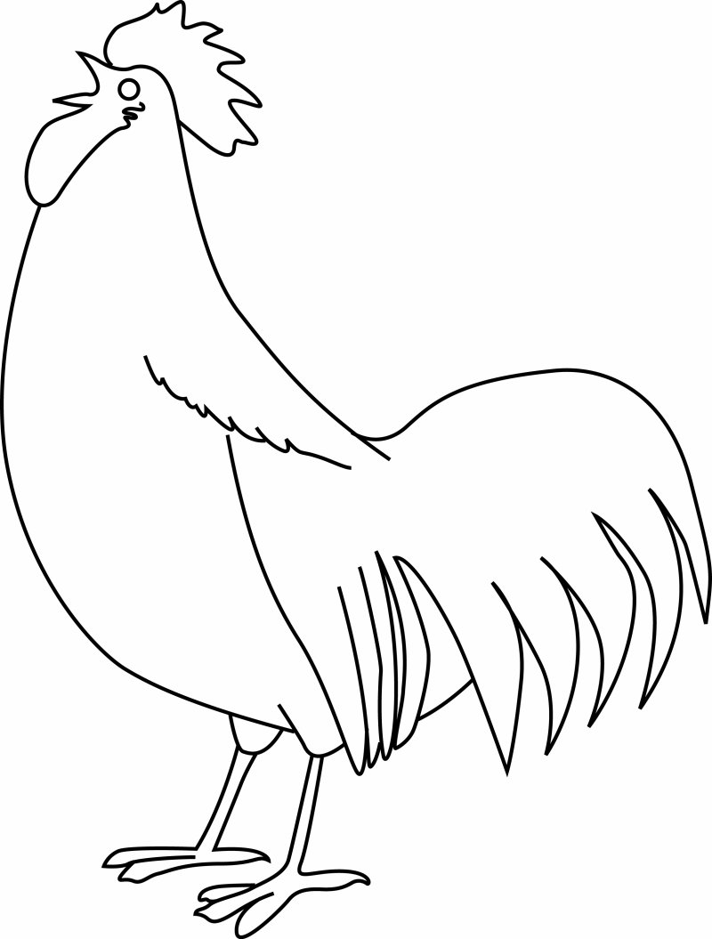 Coq 01 - motif à imprimer