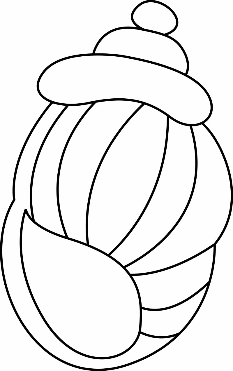 Coquillage 04 - motif à imprimer