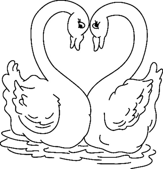 Coloriage d'un cygne mignon