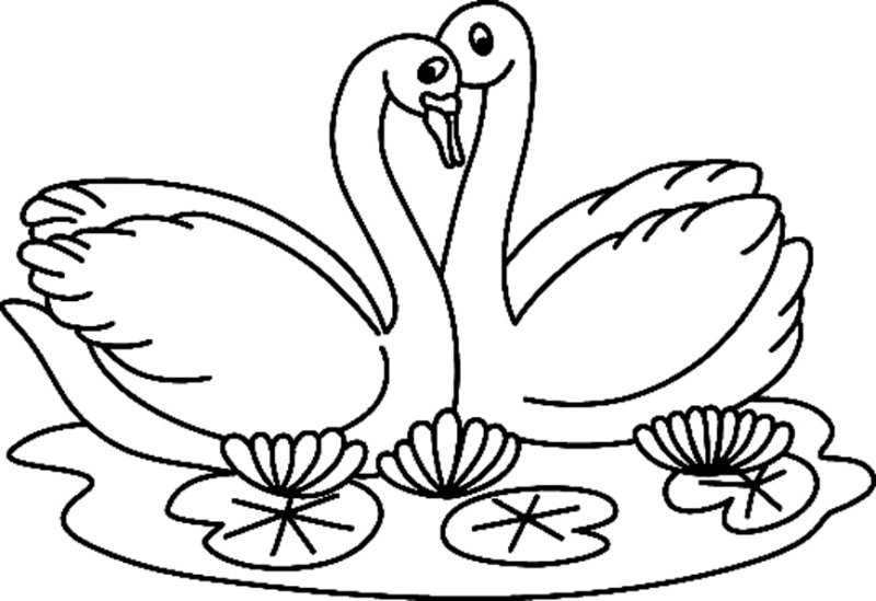 Coloriage d'un cygne triste