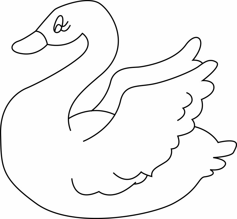Coloriage d'un cygne à télécharger