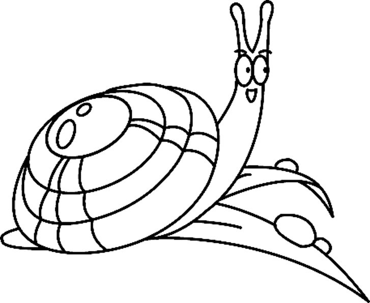 Escargot 01 - motif à imprimer